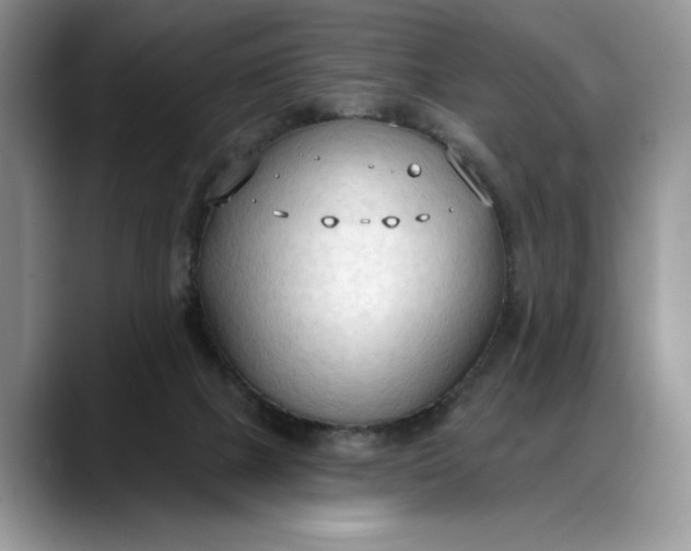 X0000088220073200705292122