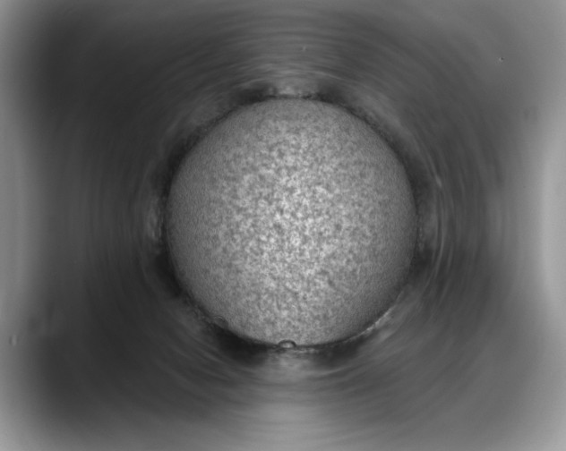 X0000088220078200705292122