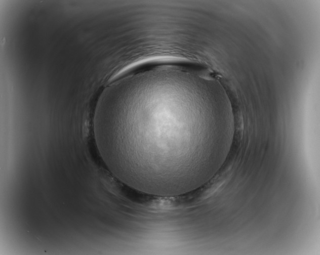 X0000088220080200705292122