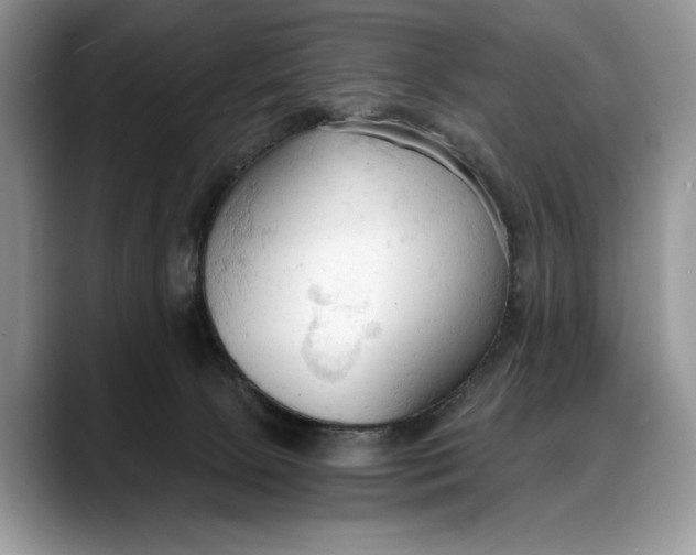 X0000088220081200705292122