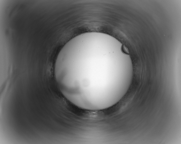 X0000088220083200705292122