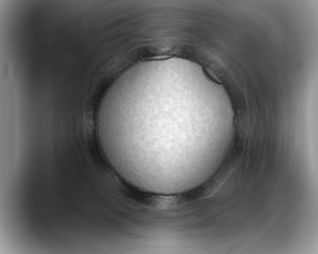 X0000088220085200705292122