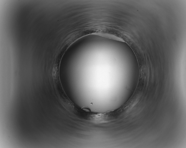 X0000088220092200705292122