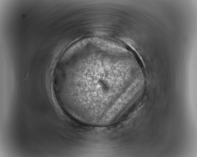 X0000088220097200705292122