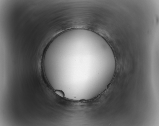 X0000088220098200705292122