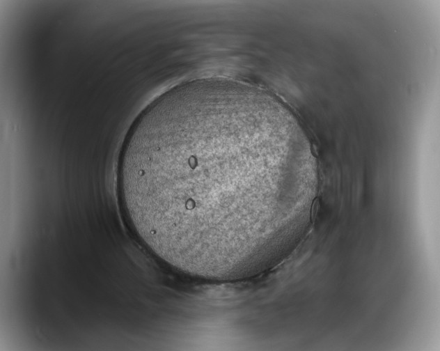 X0000088220100200705292122