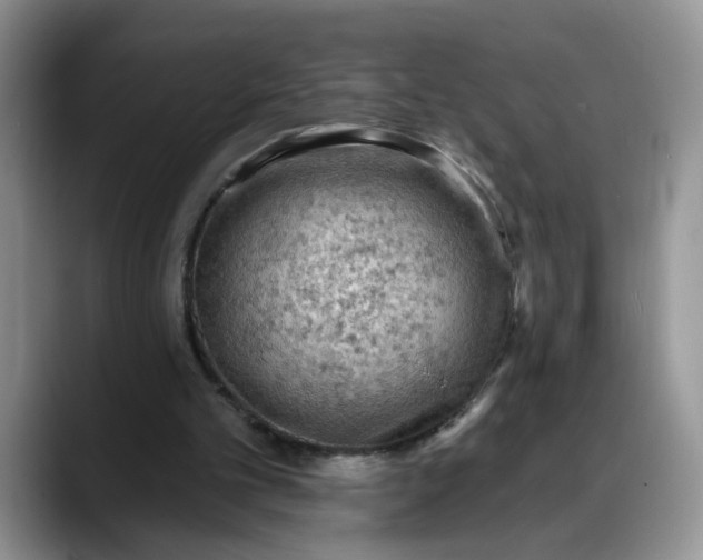 X0000088220101200705292122