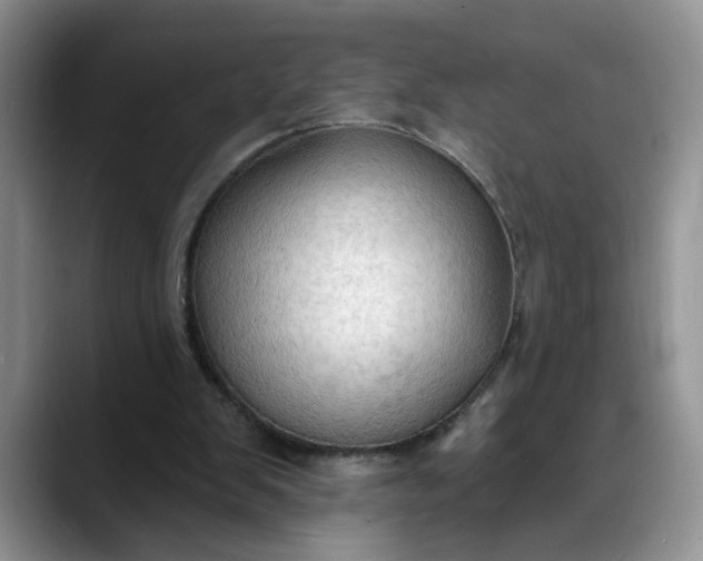 X0000088220103200705292122