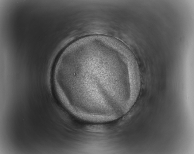 X0000088220104200705292122