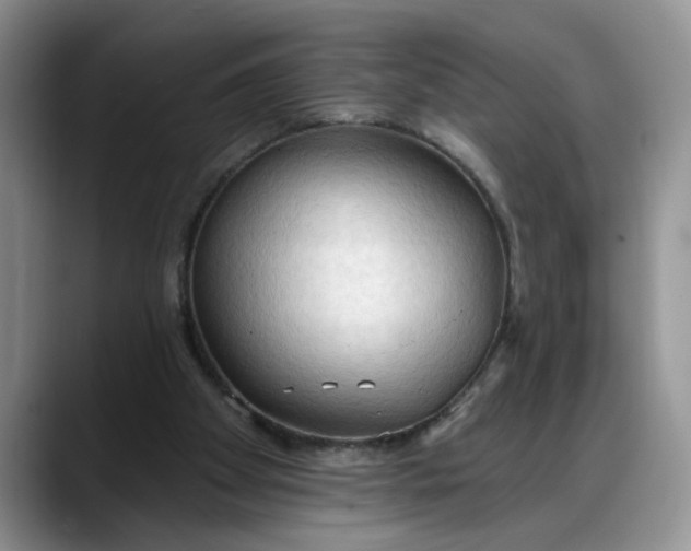 X0000088220105200705292122