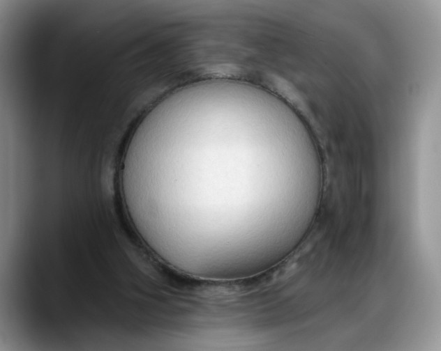 X0000088220106200705292122