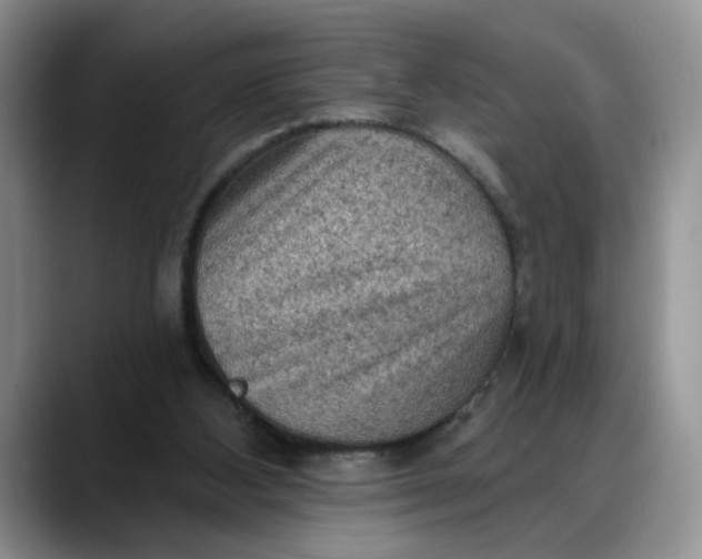 X0000088220108200705292122