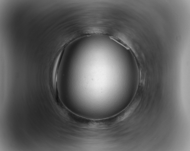 X0000088220109200705292122