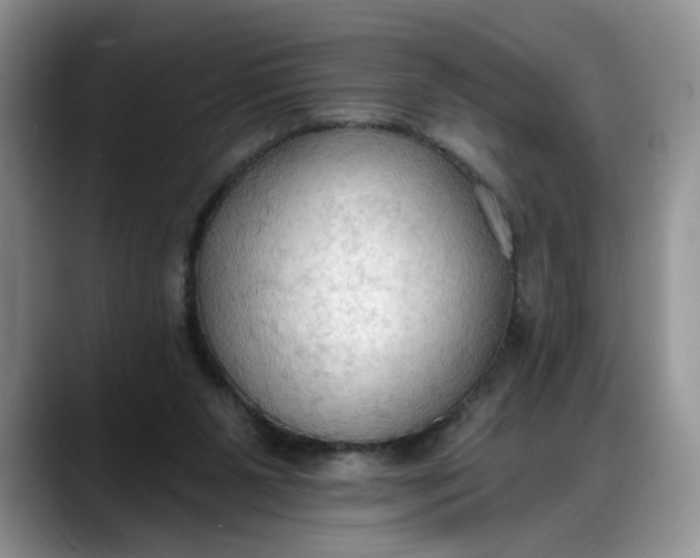 X0000088220111200705292122