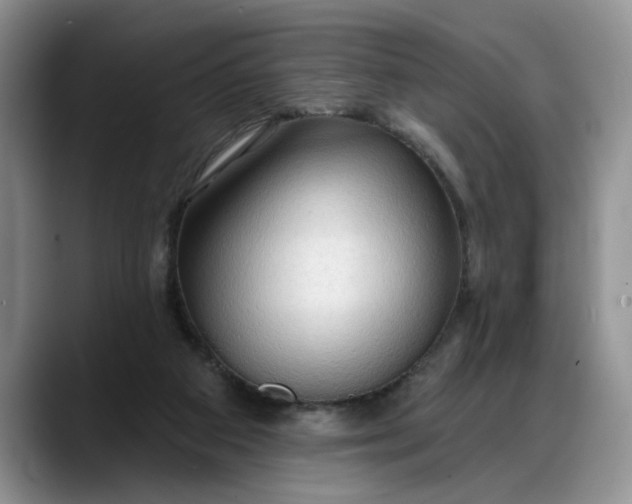 X0000088220113200705292122