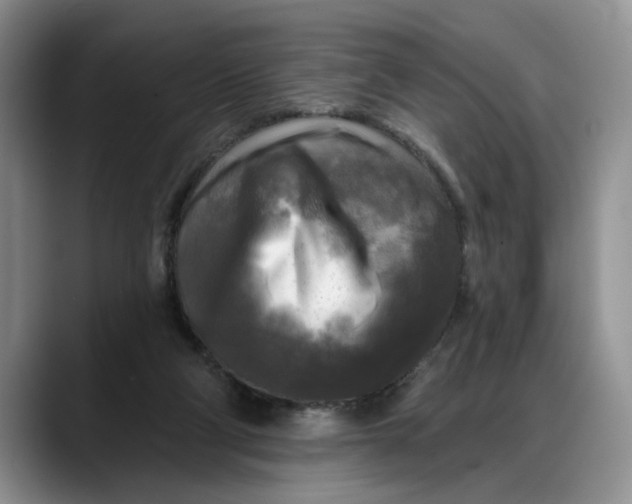 X0000088220114200705292122