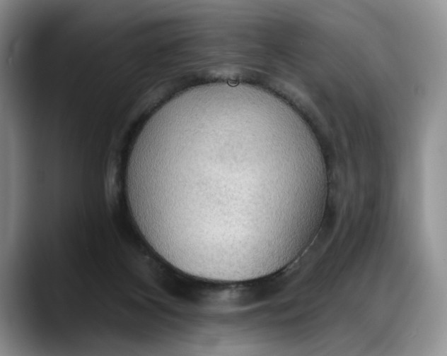 X0000088220116200705292122