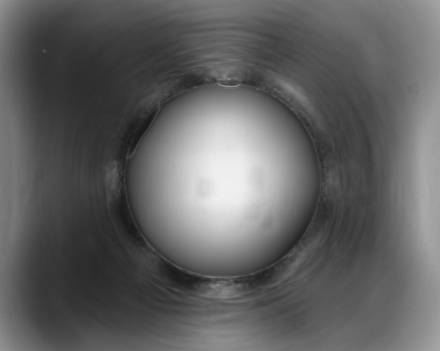 X0000088220121200705292121