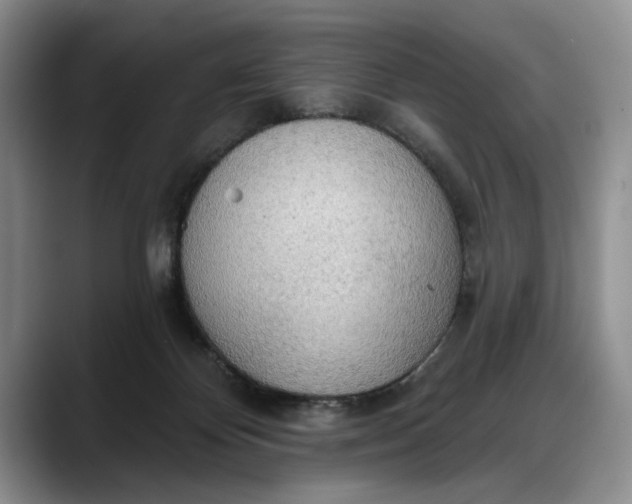 X0000088220124200705292121