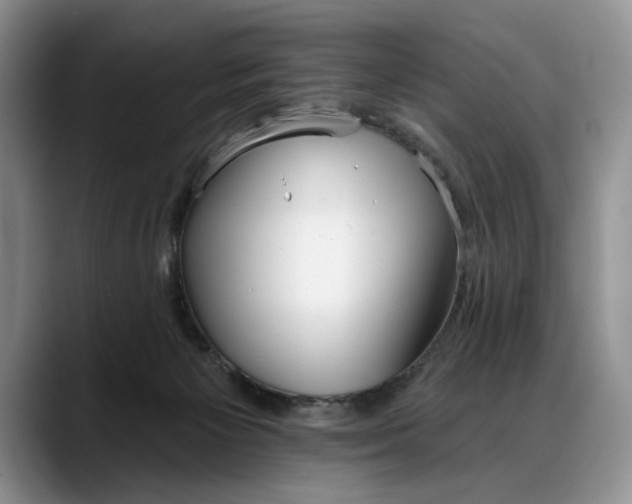 X0000088220125200705292121