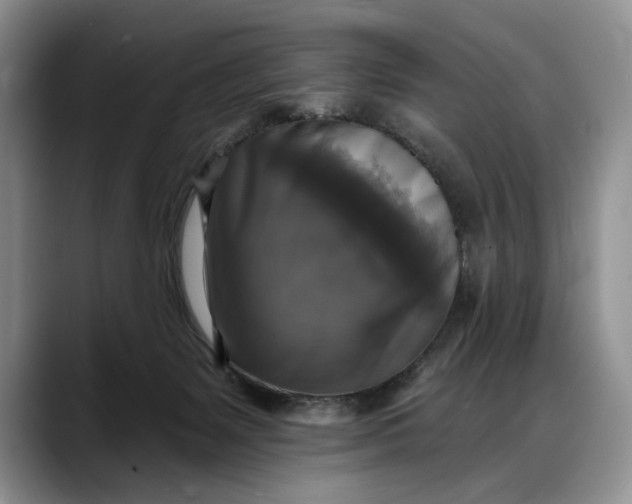 X0000088220127200705292121