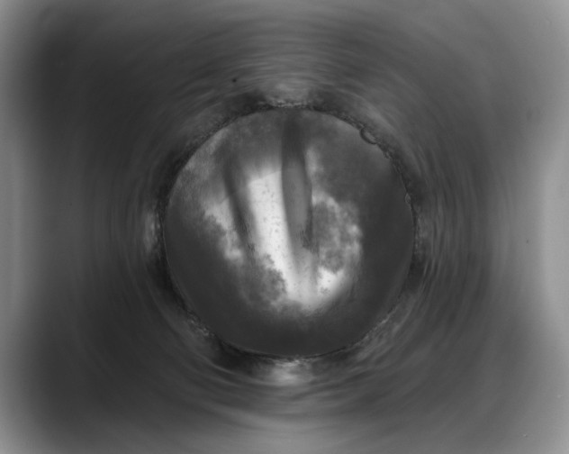 X0000088220130200705292121