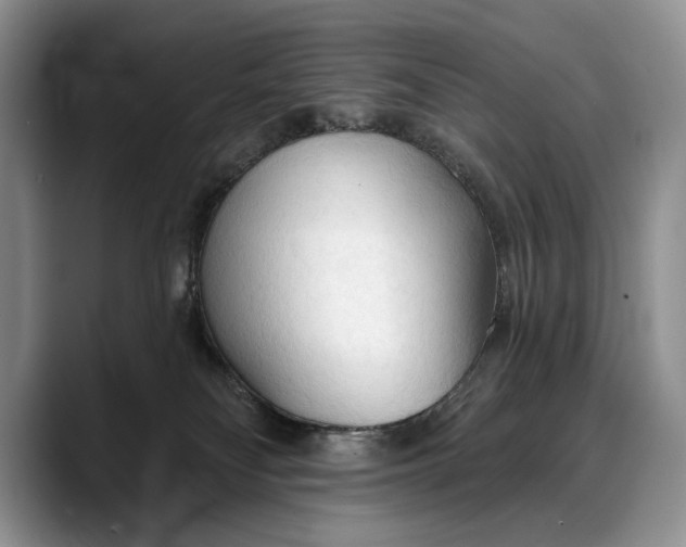 X0000088220134200705292121