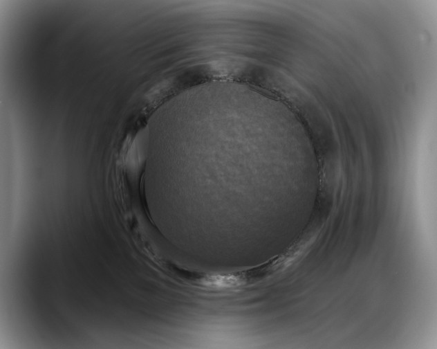 X0000088220137200705292121