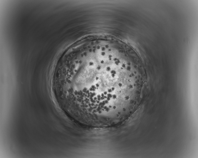 X0000088220145200705292121