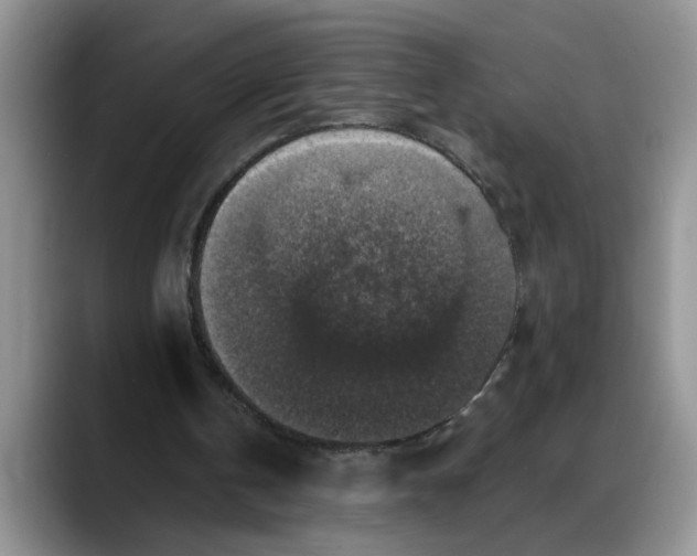 X0000088220146200705292121