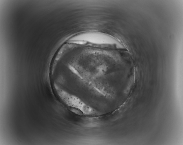 X0000088220147200705292121