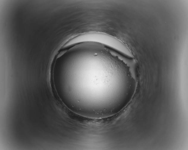 X0000088220148200705292121