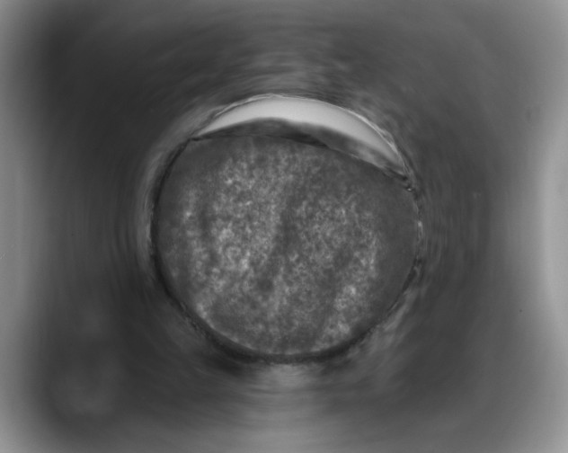 X0000088220149200705292121