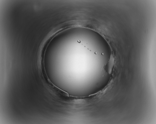 X0000088220150200705292121