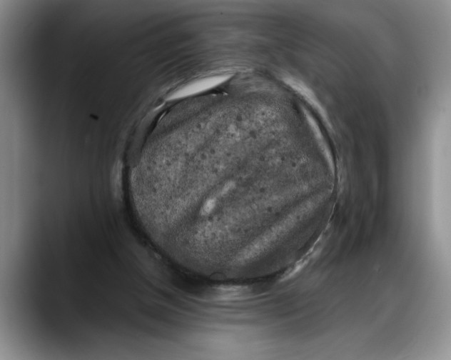 X0000088220154200705292121