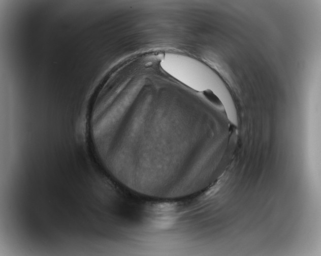 X0000088220156200705292121