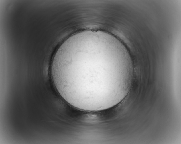 X0000088220159200705292121