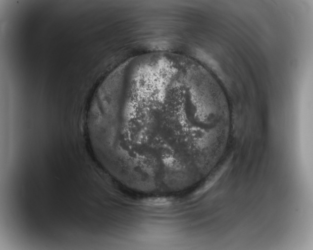 X0000088220161200705292121