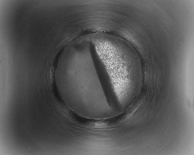 X0000088220165200705292121