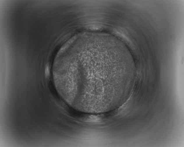 X0000088220166200705292121