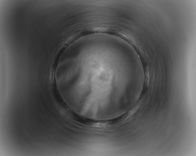 X0000088220168200705292121