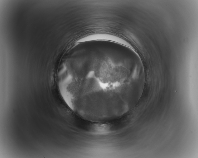 X0000088220169200705292121