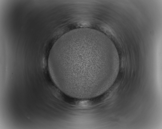 X0000088220173200705292121