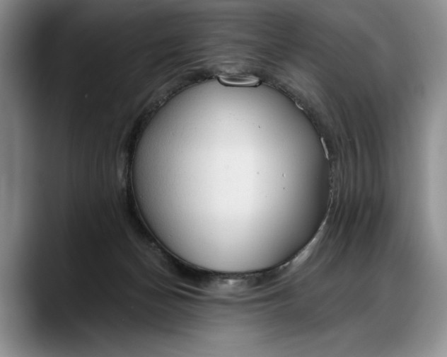 X0000088220174200705292121