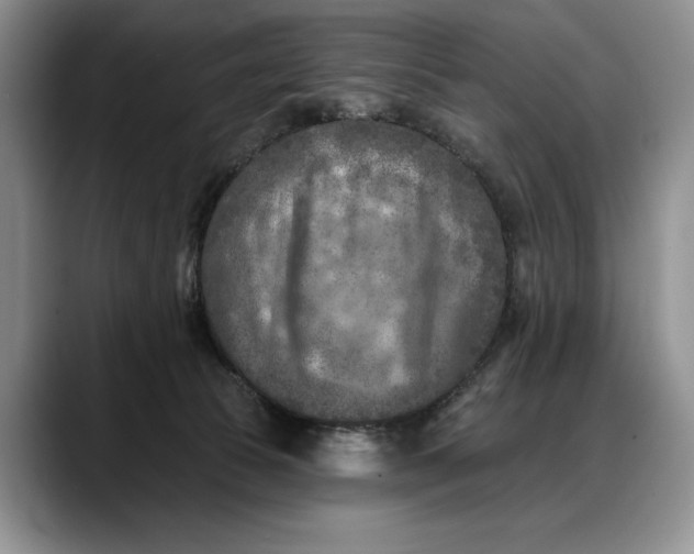 X0000088220177200705292121