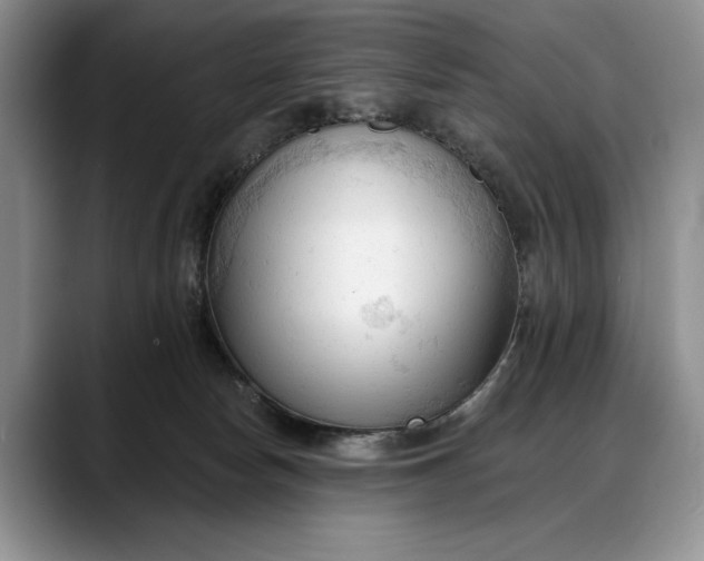 X0000088220178200705292121