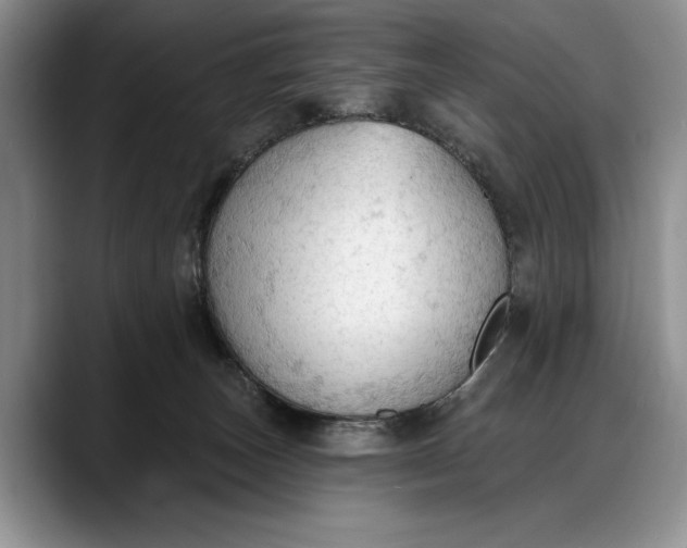 X0000088220179200705292121