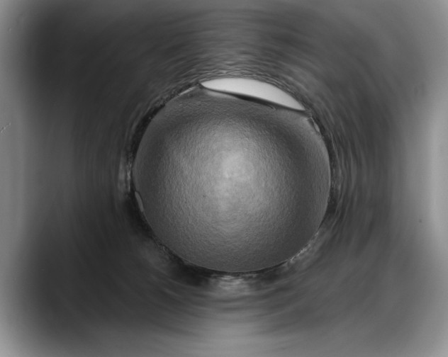 X0000088220180200705292121