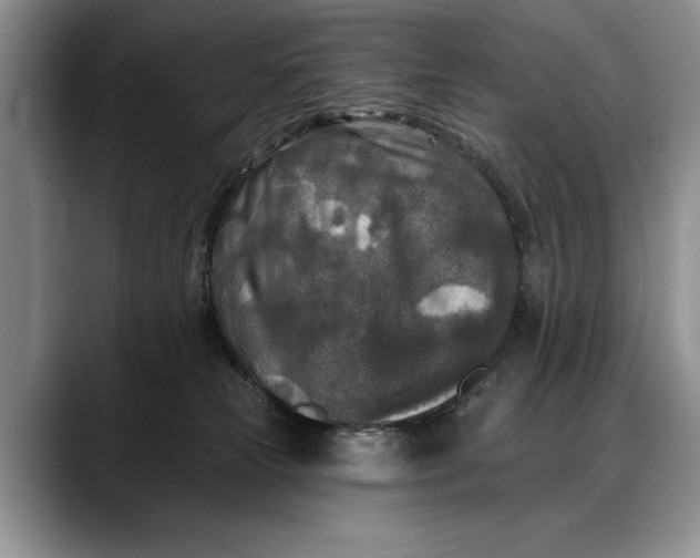 X0000088220181200705292121