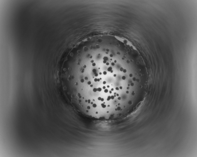 X0000088220182200705292121